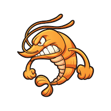 The Shrimp Should Be Your BJJ Club Mascot