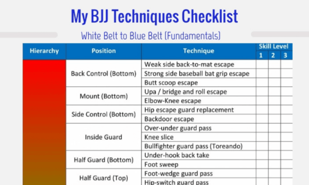 My BJJ Techniques Checklist [Fundamentals for White Belt to Blue Belt]