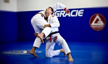The Most Important Techniques of Brazilian Jiu Jitsu: Udemy Course Review