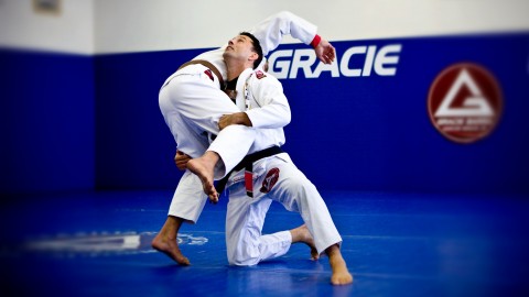 The Most Important Techniques of Brazilian Jiu Jitsu Udemy Course