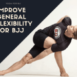 Yoga for BJJ Review
