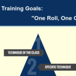 BJJ Training Goals: One Roll, One Goal [Infographic]