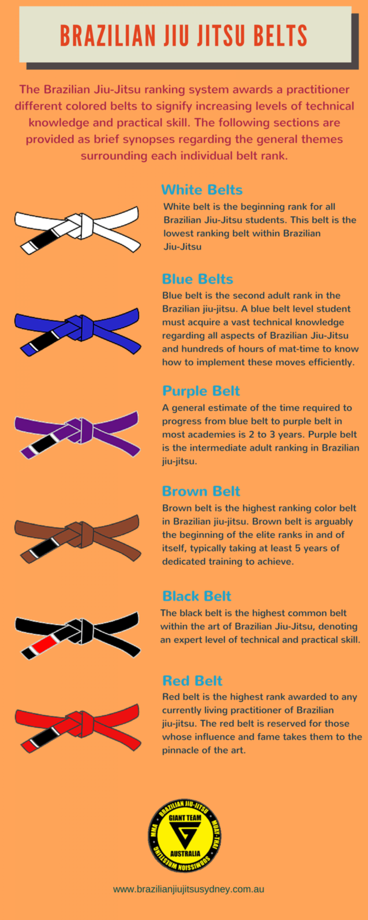 Brazilian Jiu Jitsu Belts Infographic