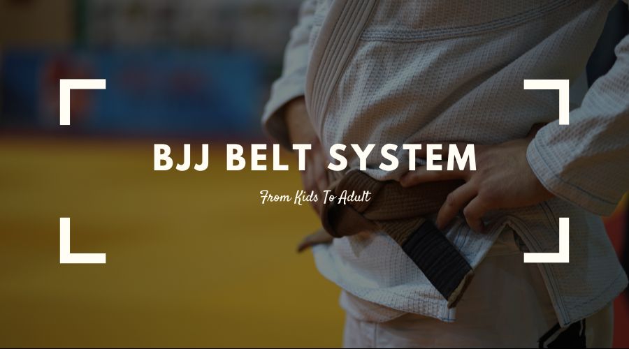 BJJ Belt System