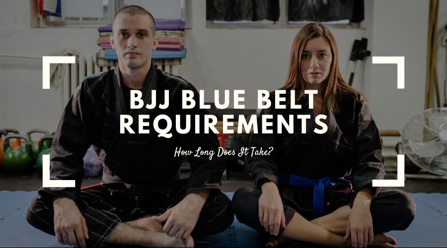 BJJ Blue Belt