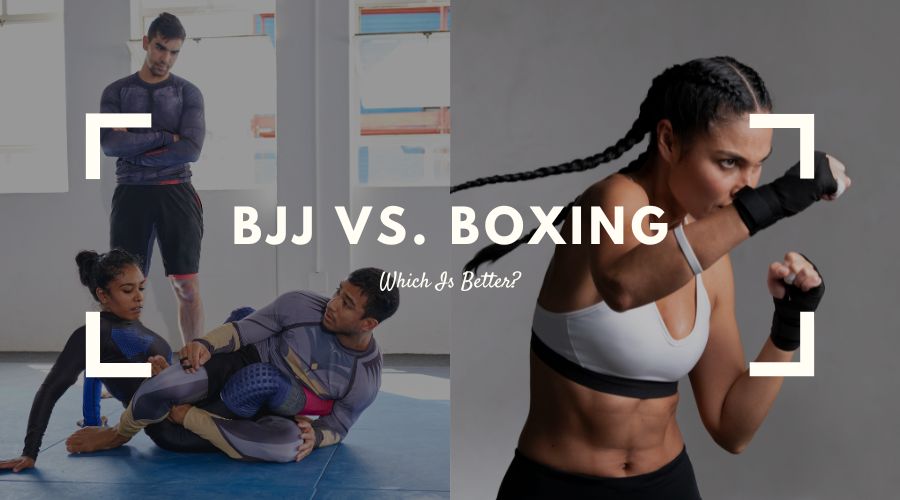 BJJ vs Boxing