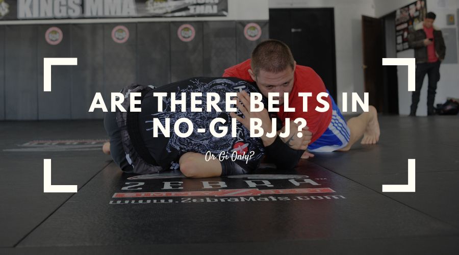 Are There Belts In No-Gi BJJ