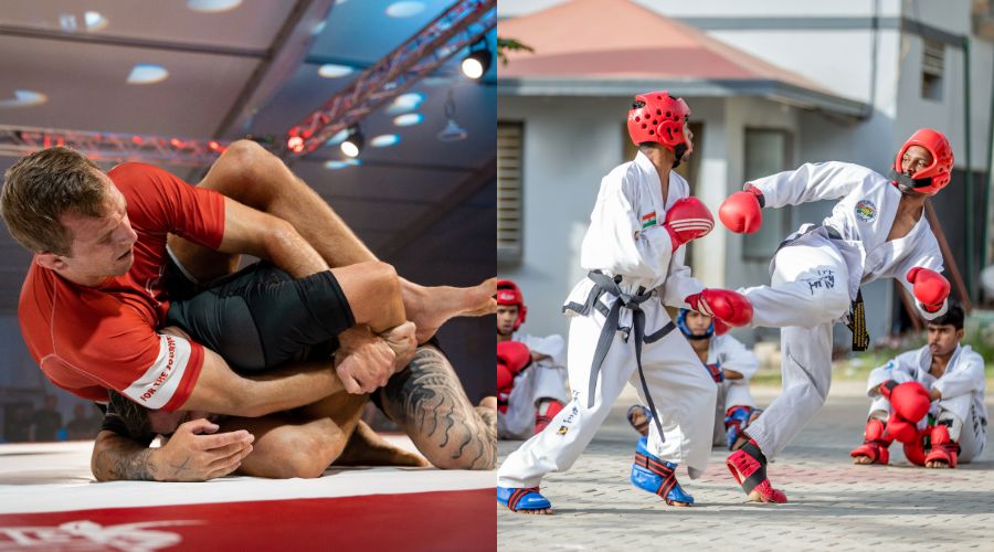Taekwondo vs BJJ