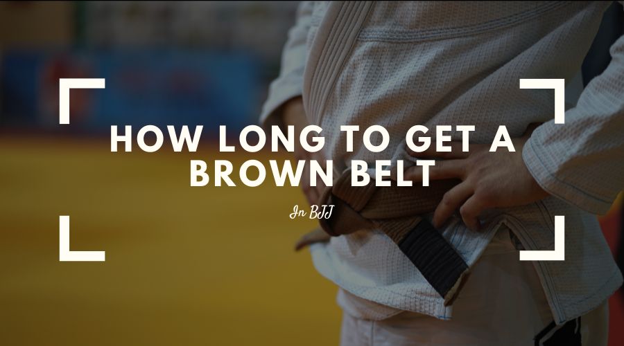 how long to get a brown belt in bjj