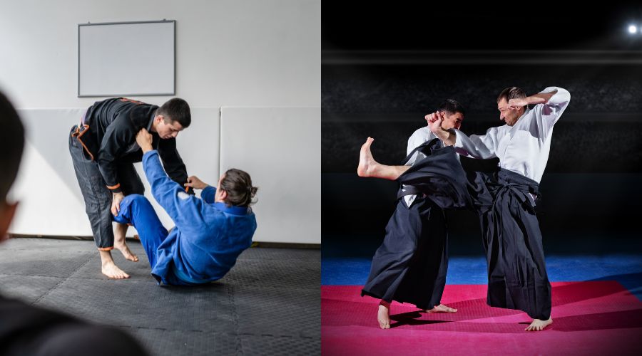 BJJ vs Aikido For Self-Defense