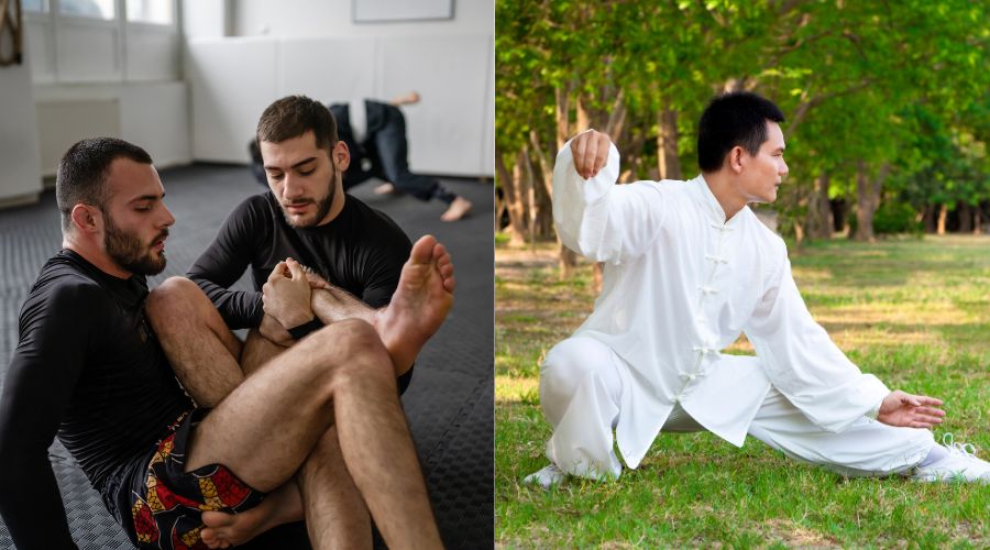 BJJ vs Kung Fu For MMA