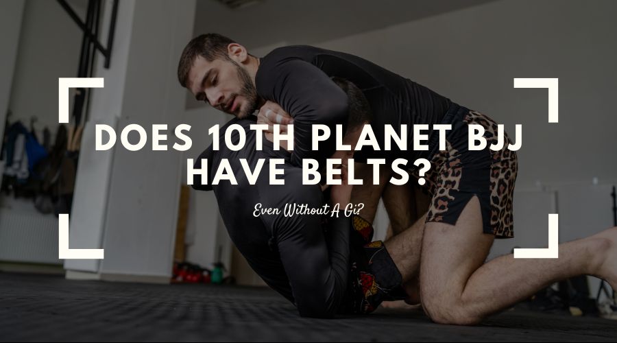 Does 10th Planet BJJ Have Belts