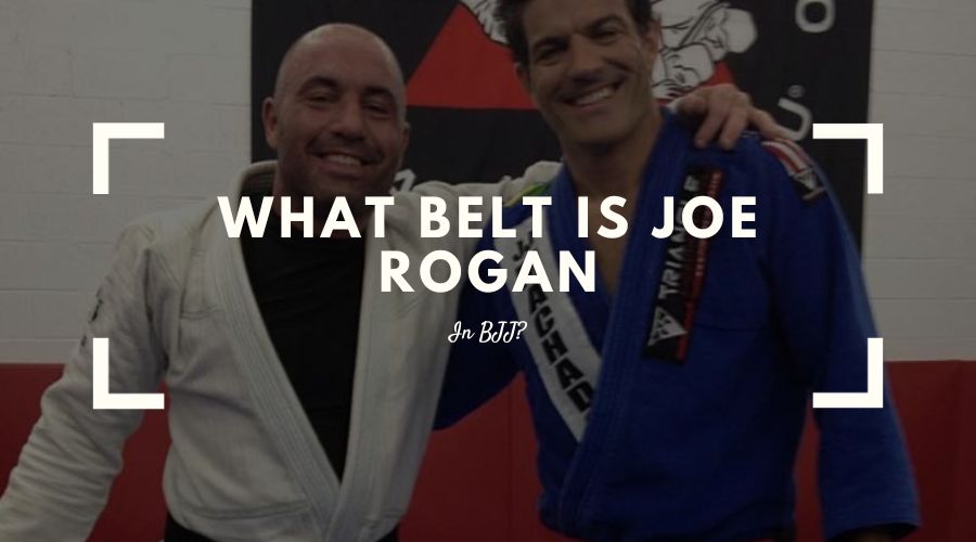 What Belt Is Joe Rogan In BJJ