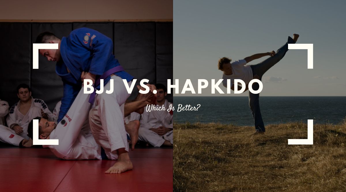 BJJ vs Hapkido