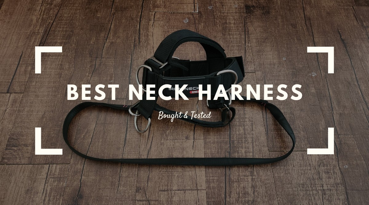 Best Neck Harness